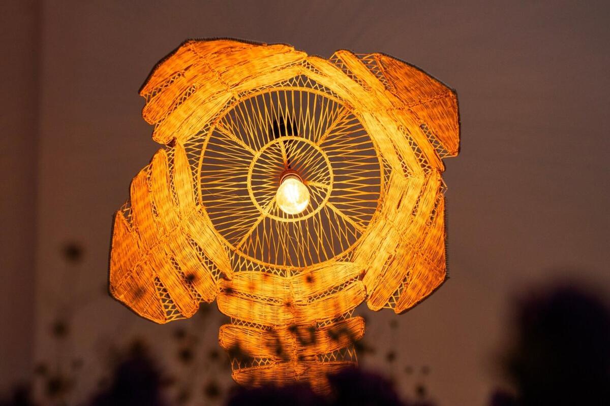 Disfruta El Espectaculo De La Bahia *