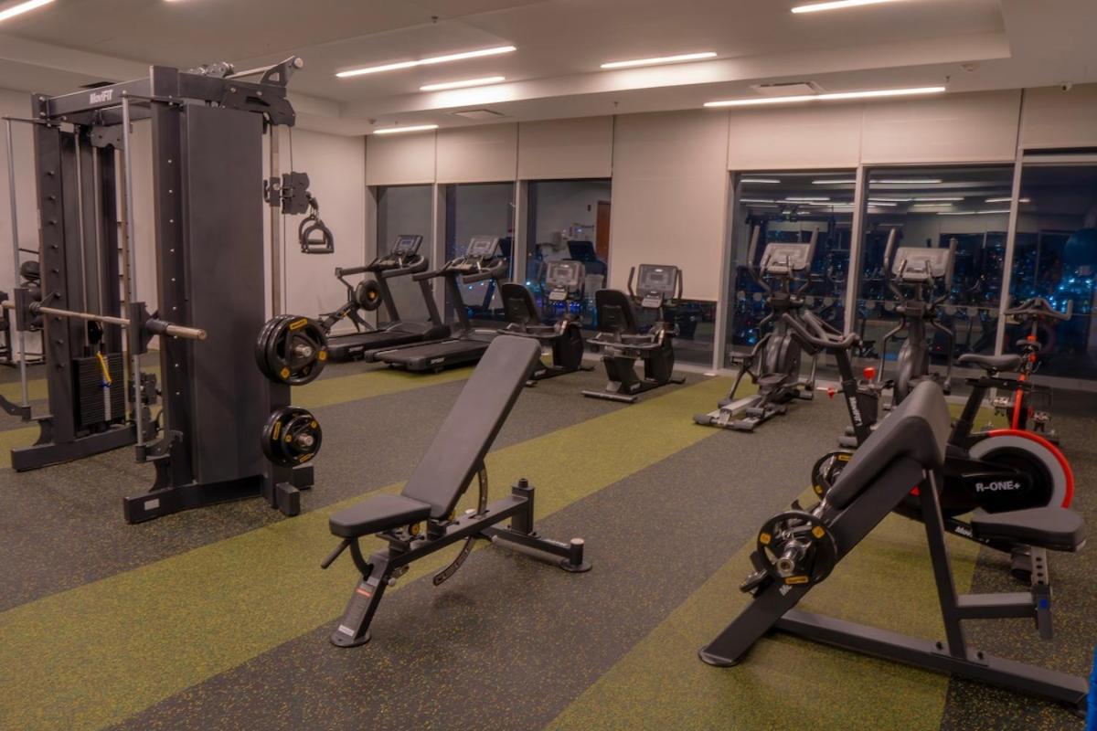 Disfruta El Espectaculo De La Bahia *