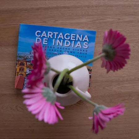 Disfruta El Espectaculo De La Bahia * Cartagena